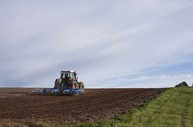 Field Preparation